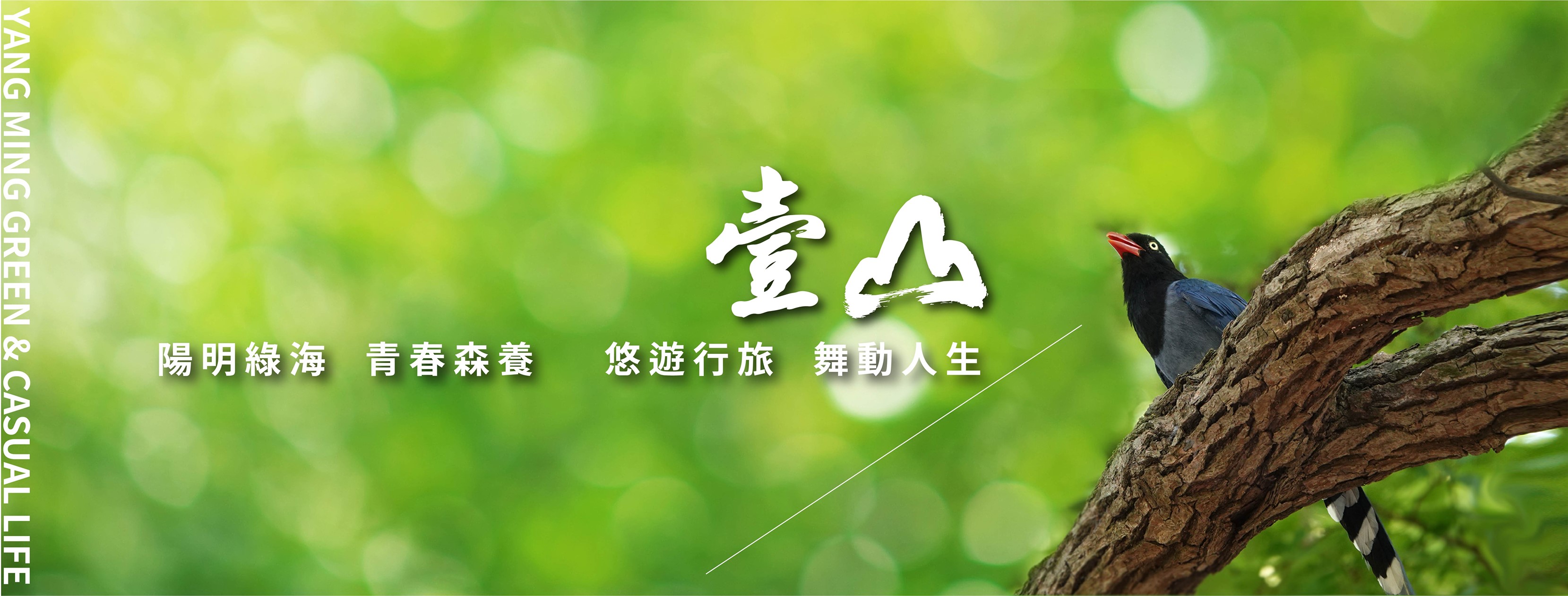 壹山(花想榕/桂花弄/八勝居)、台北市、北投區、建案